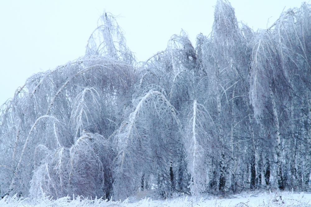 Фотография автора Михаил Кротков