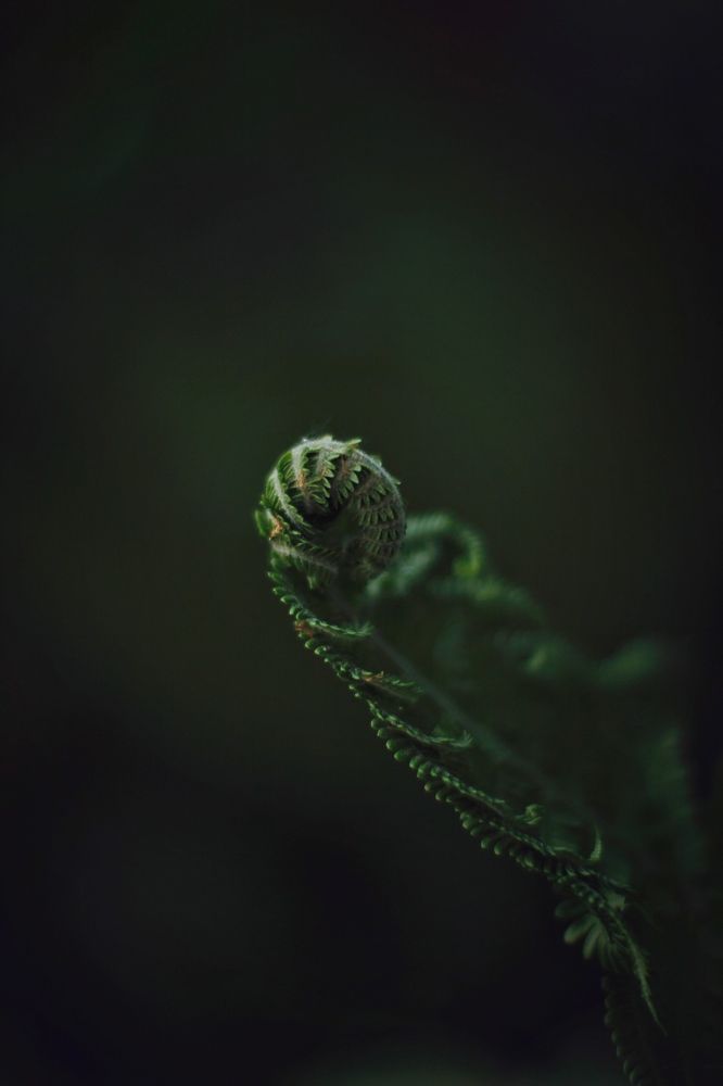 Photograph by Анастасия Астафьева