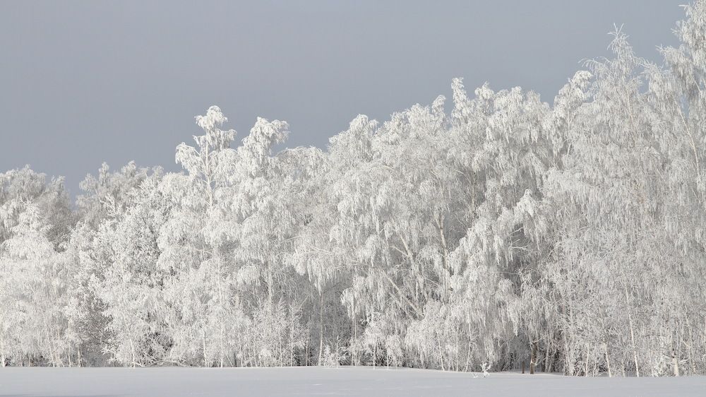 Фотография автора Михаил Кротков