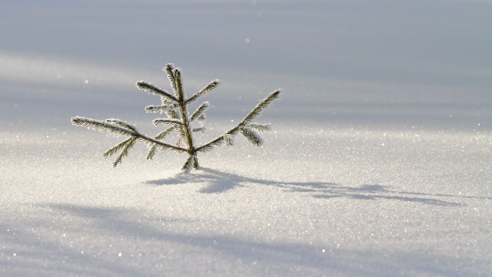 Фотография автора Михаил Кротков