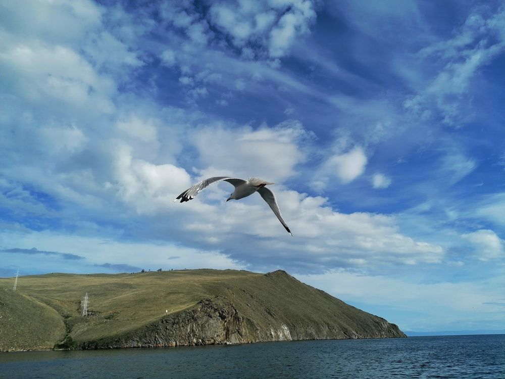 Photograph by Ольга Лех