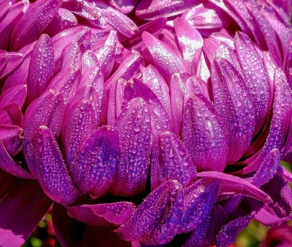 Photograph by IRINA KORNEVA