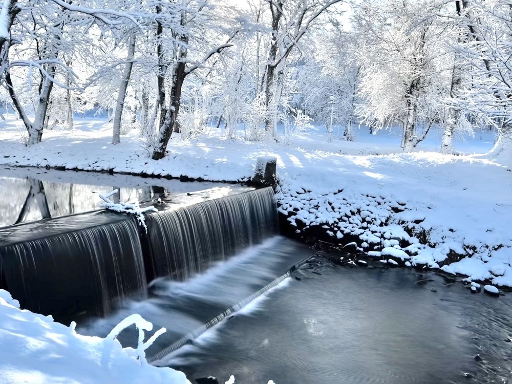 Photograph by Anna Turks