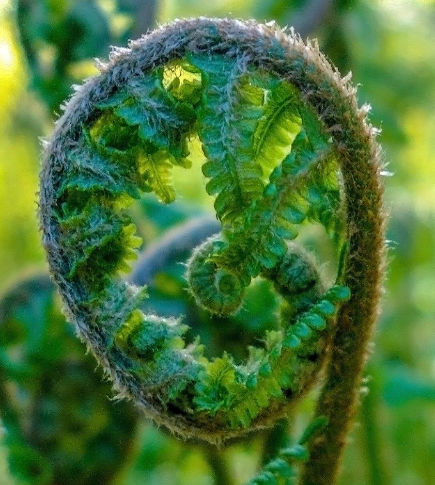 Photograph by IRINA KORNEVA