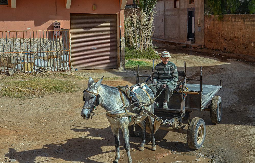 Photograph by Jacky Weckx