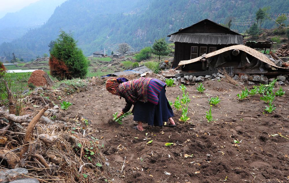 Photograph by Сергей Сережников