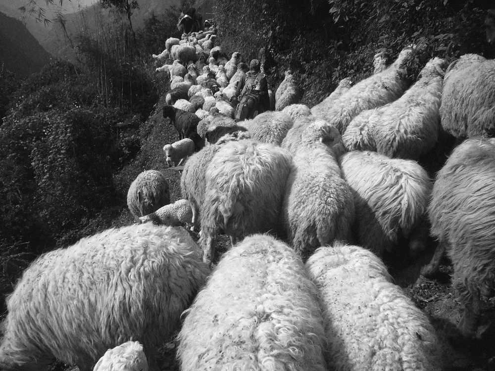 Photograph by Сергей Сережников