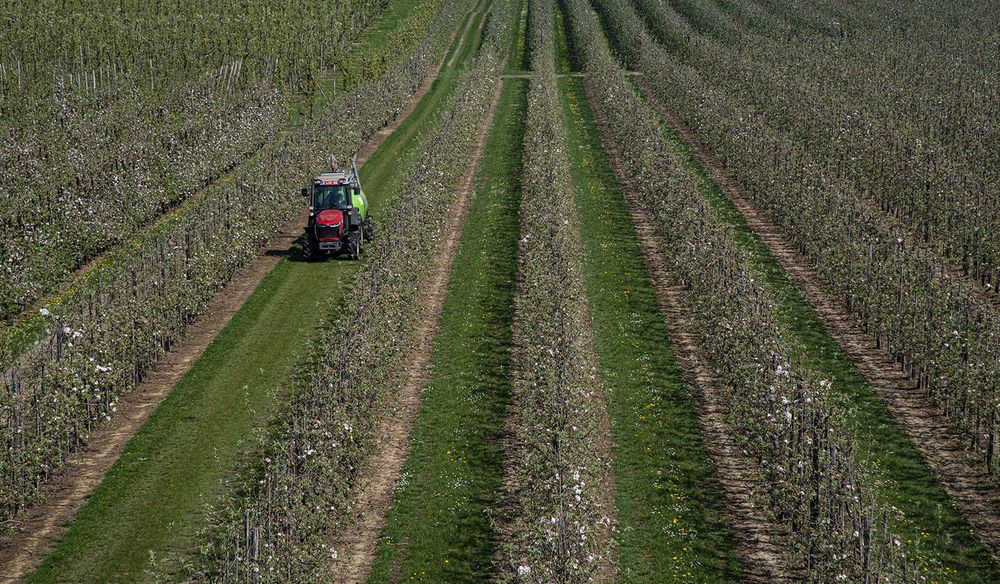 Photograph by Jacky Weckx