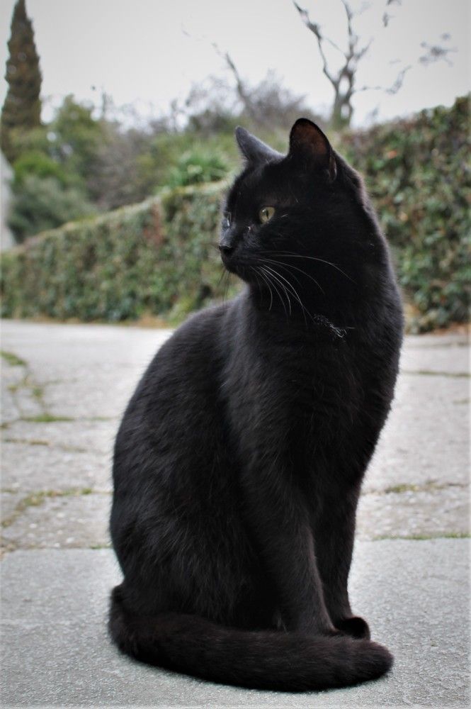 Фотография автора Таня Долгушева