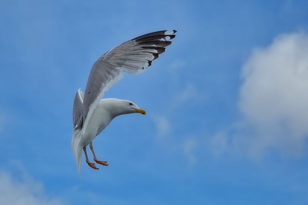 Photograph by Олег Раков