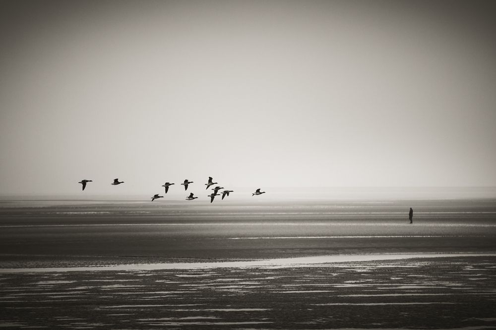 Photograph by Petrov Ivaylo