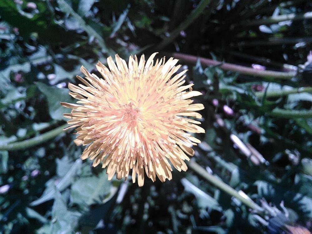 Photograph by Рустем Ганиев