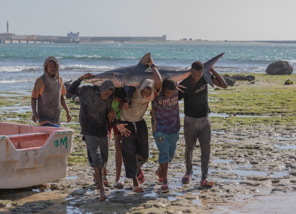 Photograph by Илья Поляк