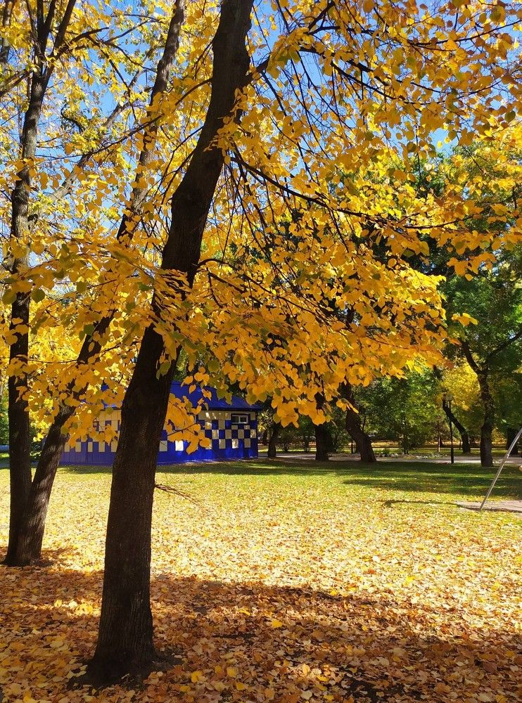 Photograph by Татьяна Клемба