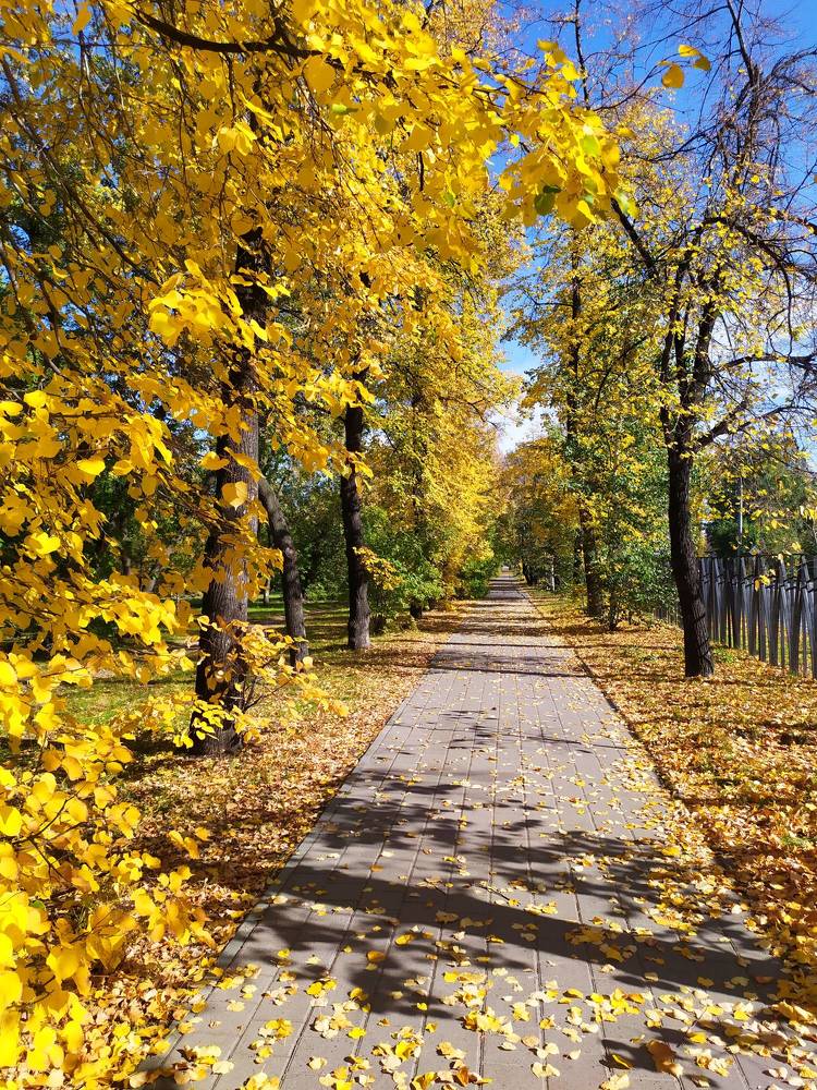 Photograph by Татьяна Клемба