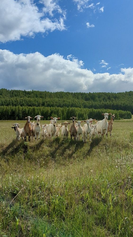 Photograph by Наталья Рассохина