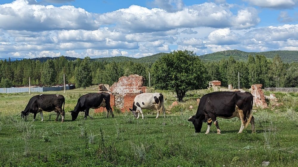 Photograph by Наталья Рассохина