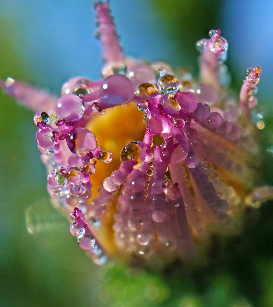 Photograph by Наталья Соколова