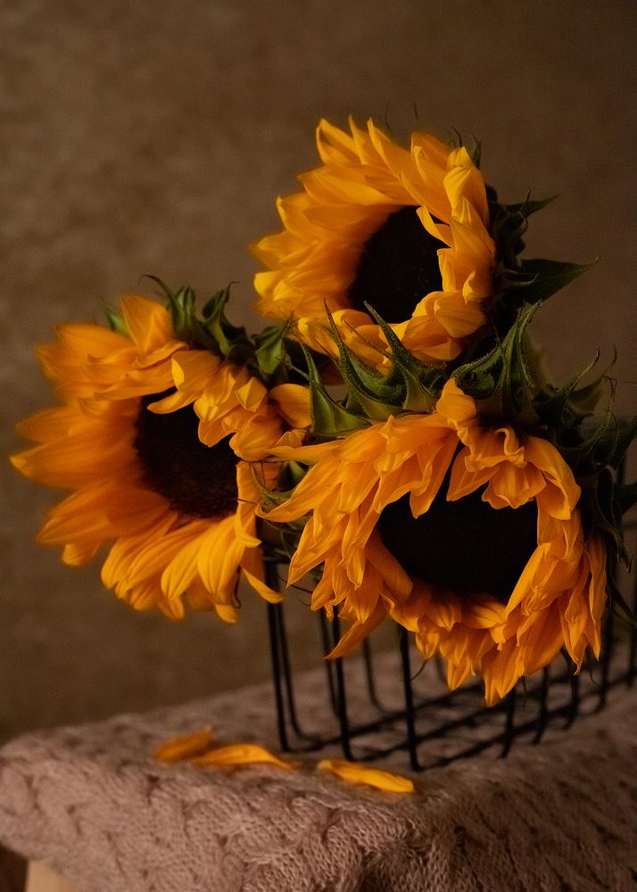 Photograph by Ирина Зиннурова