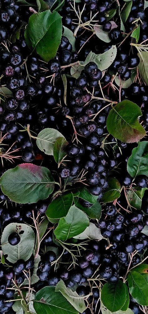 Photograph by Надежда Русакова