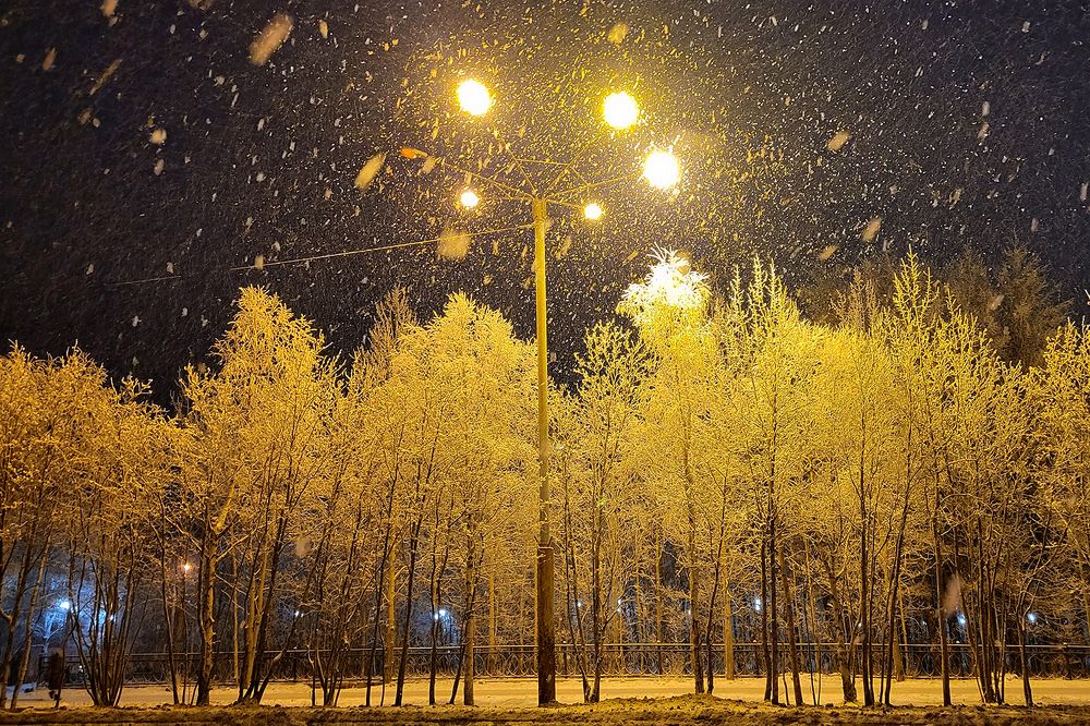 Photograph by Alisa