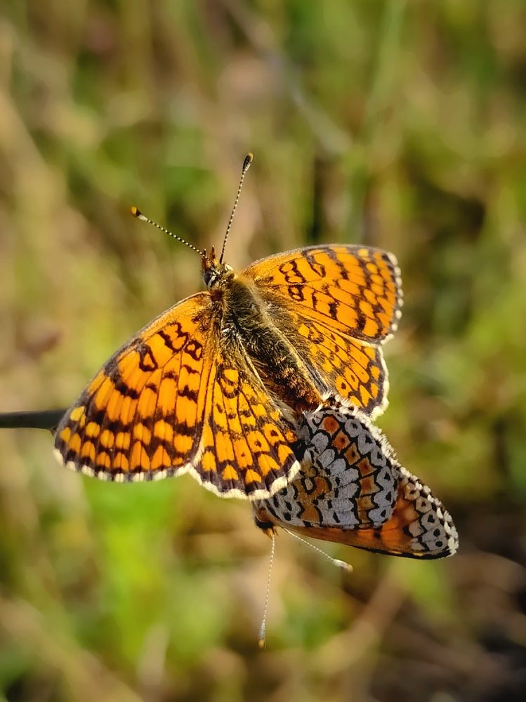 Photograph by Лариса Когтева
