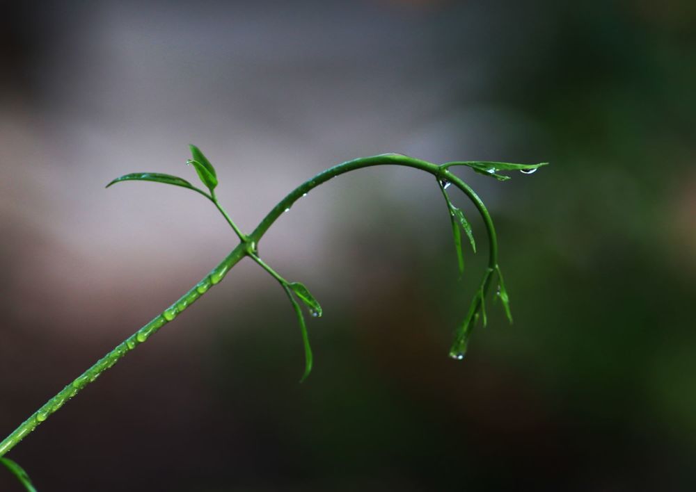 Photograph by Merav Zuberman Perkal