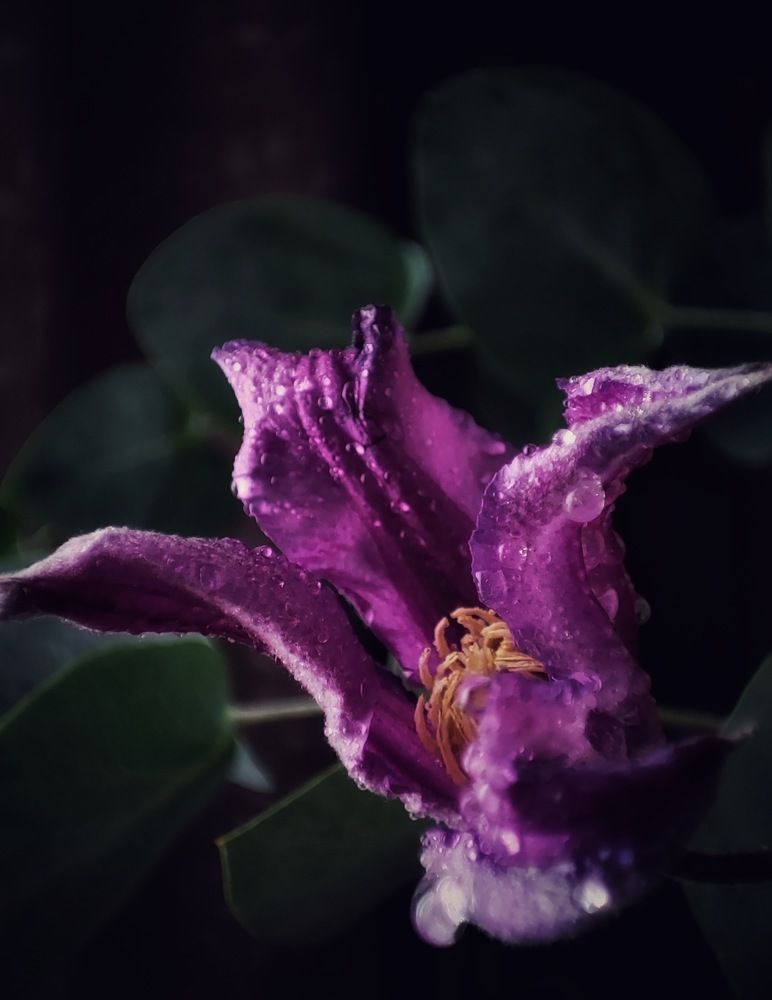 Photograph by Олеся Хижко