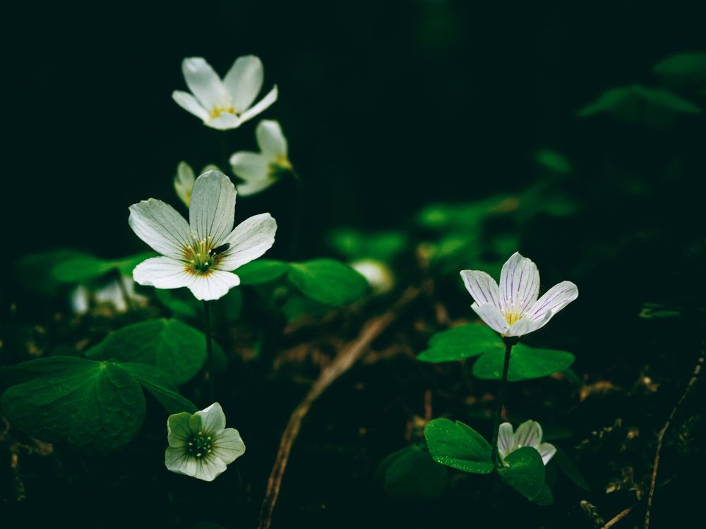 Photograph by Борис Челышев