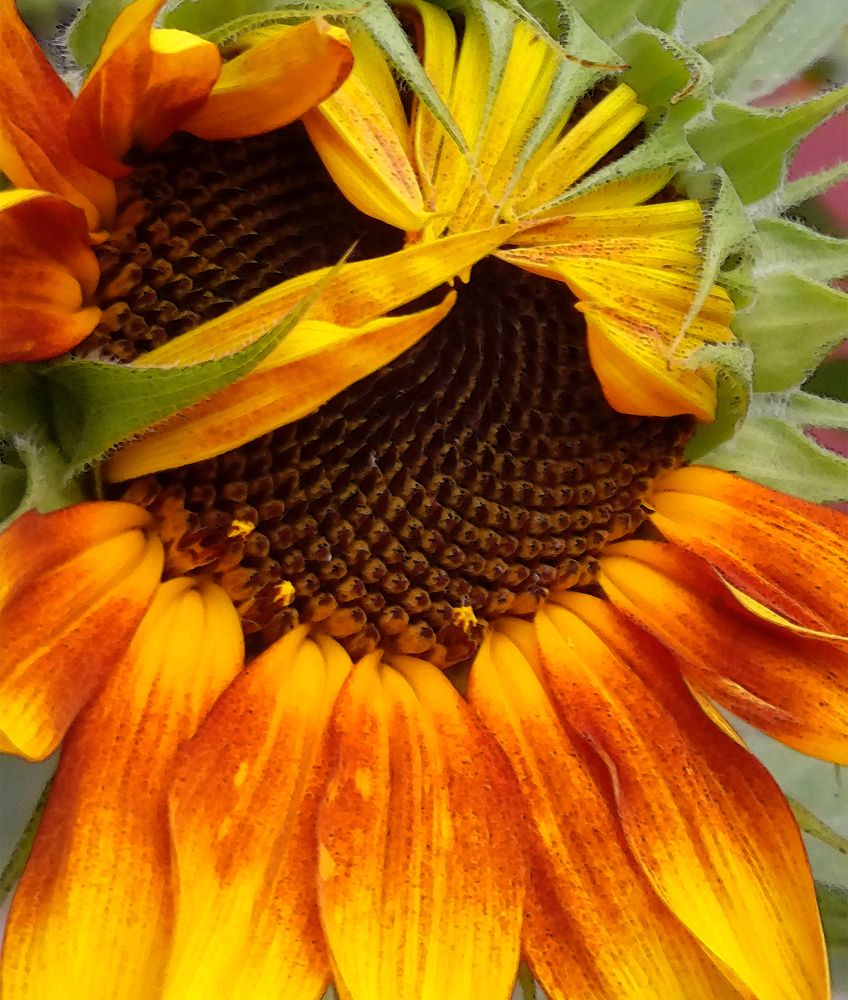 Photograph by Jasna Dragun