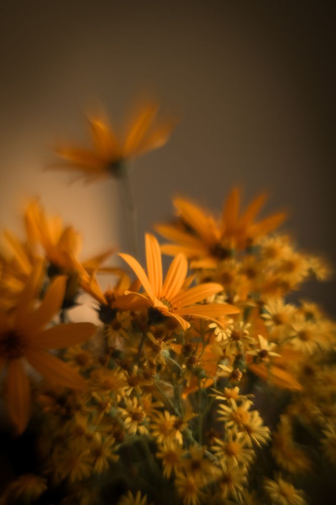 Photograph by Elena Kilina