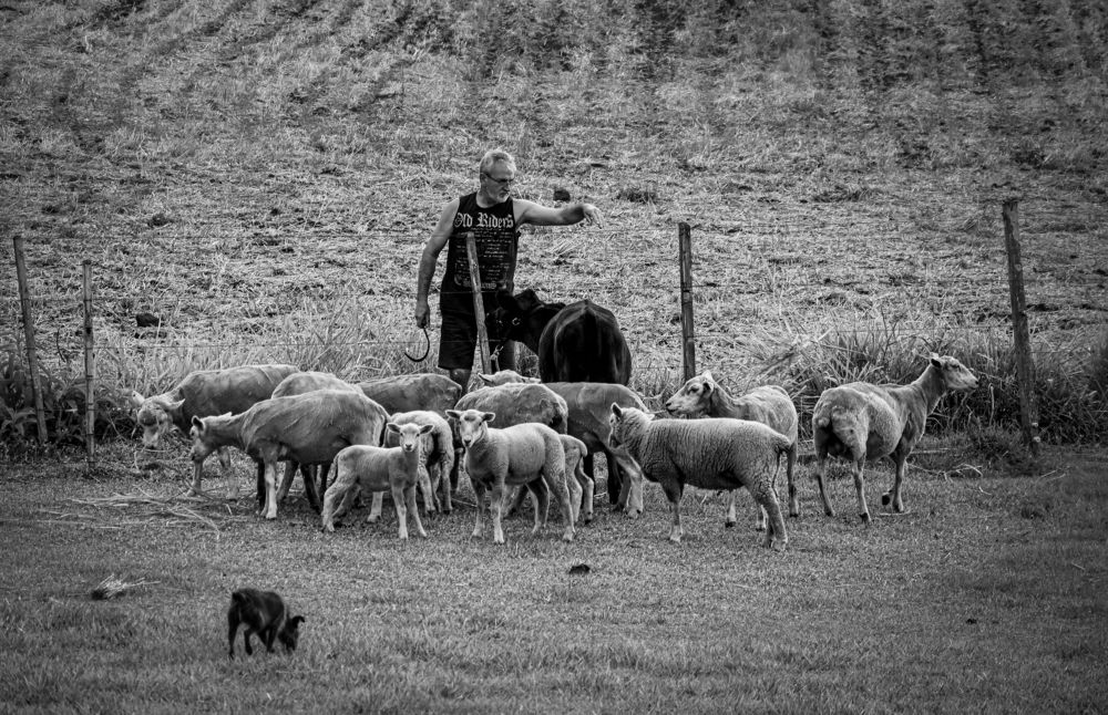 Фотография автора Maichel de Paula