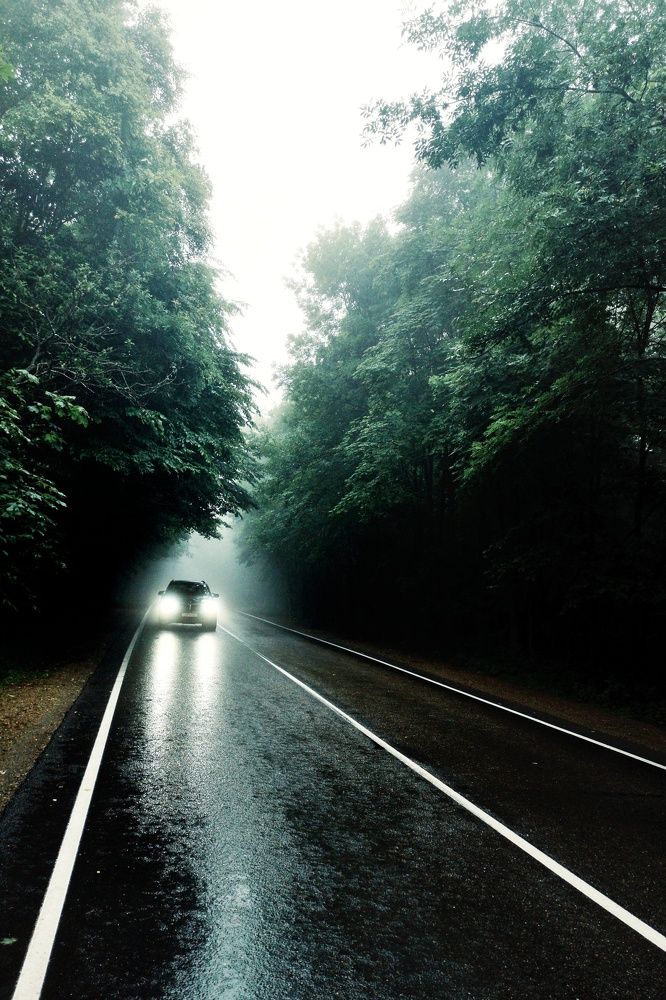 Photograph by Alex Orlov