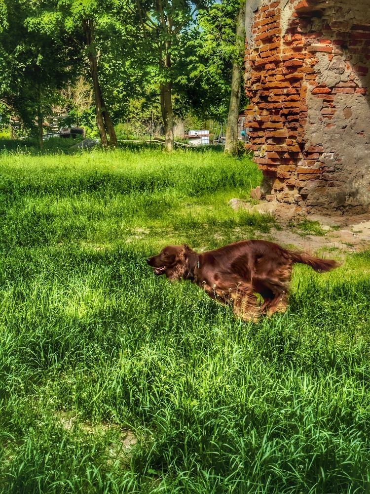 Photograph by Евгения Казакова