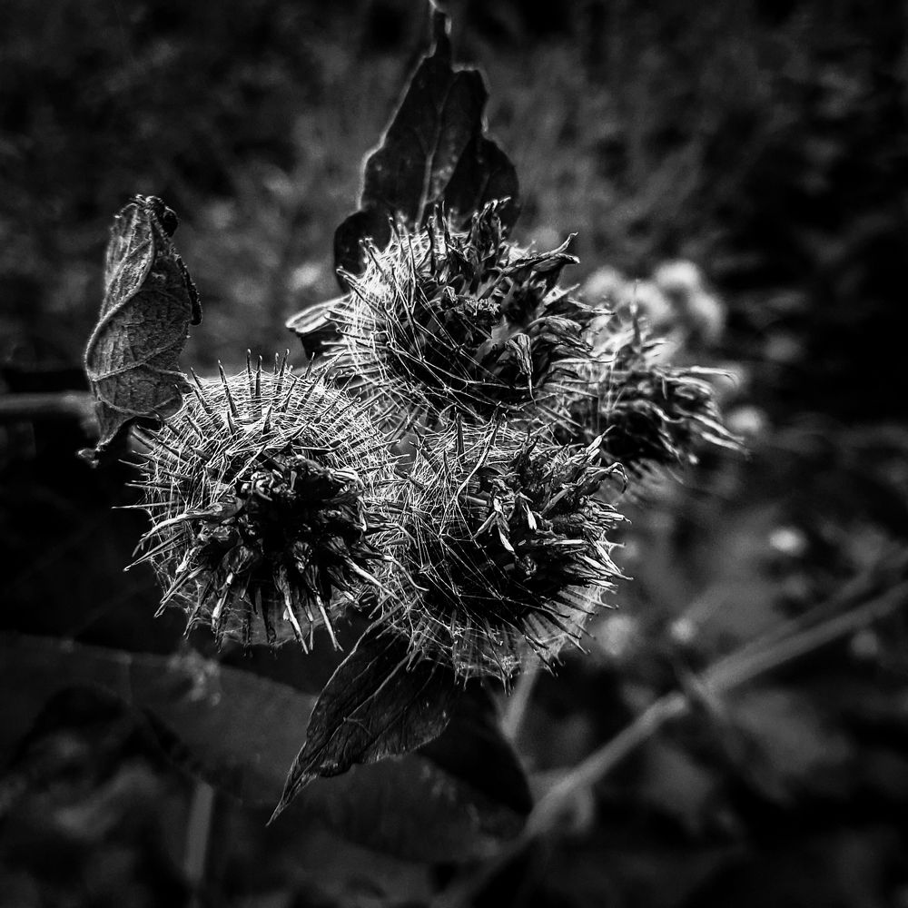 Photograph by Михаил Мироненко