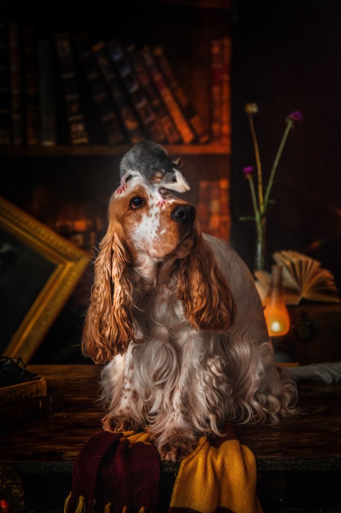 Photograph by Елена Савченкова