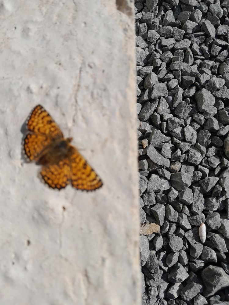 Нет места жить,сплошной бетон...