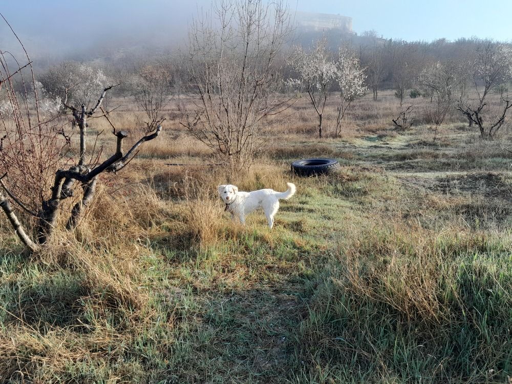 Photograph by Татьяна Ситникова