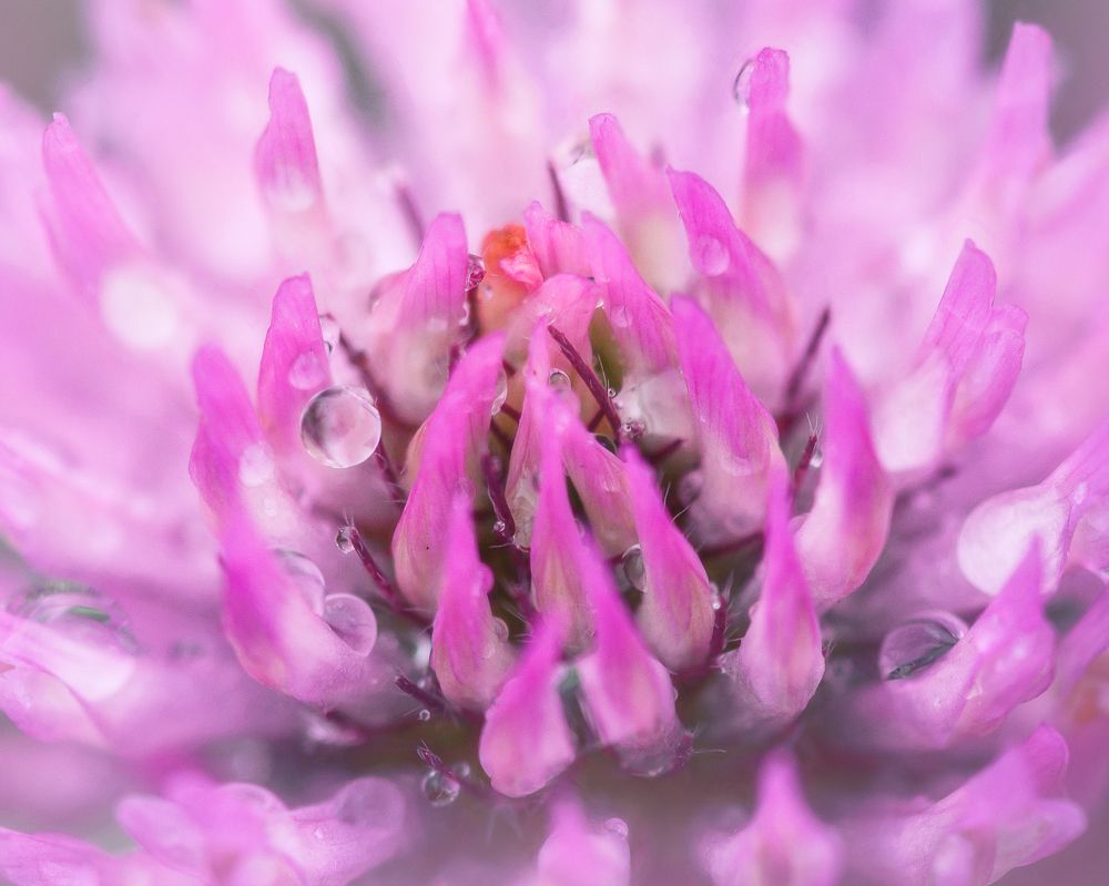 Photograph by Dmitry Ishniyazov