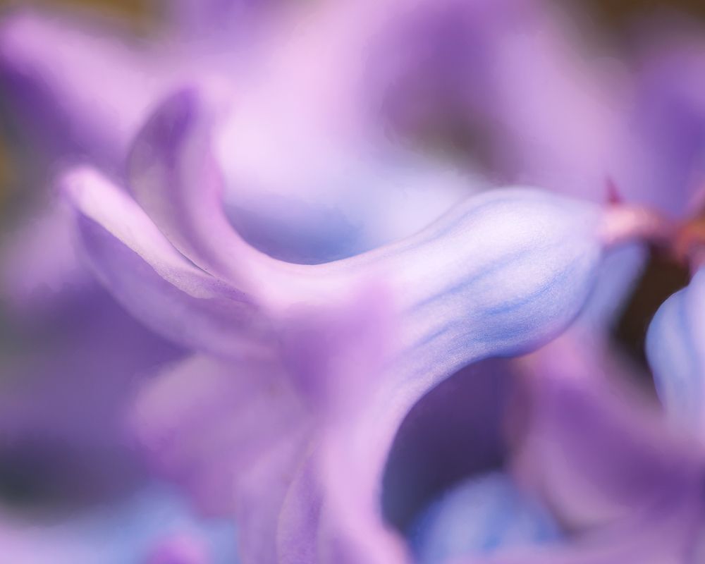 Photograph by Dmitry Ishniyazov