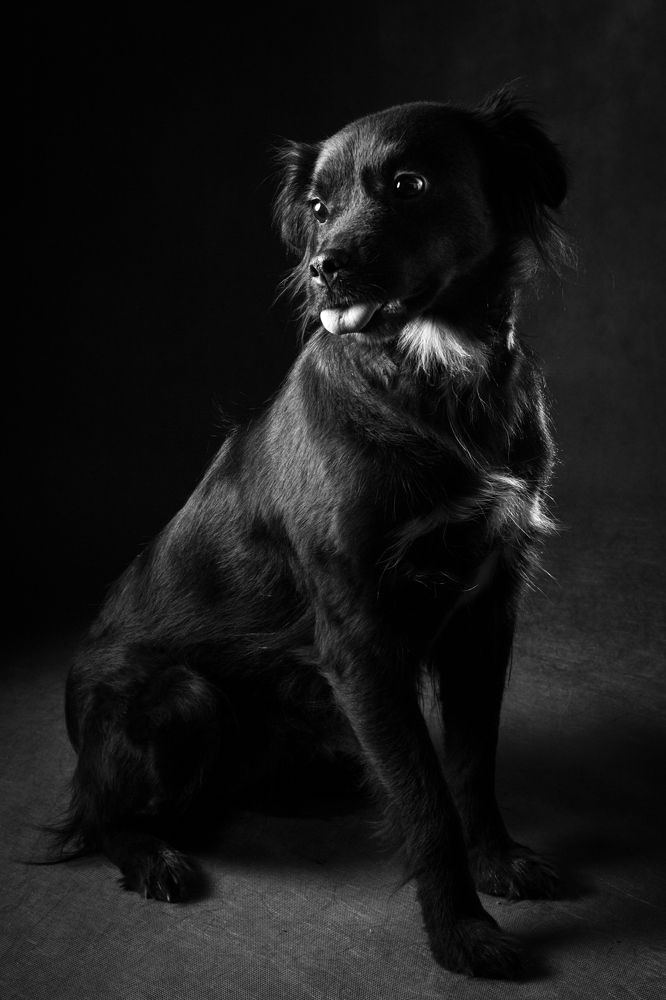 Photograph by Andrius