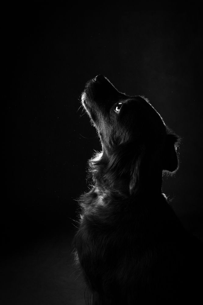 Photograph by Andrius