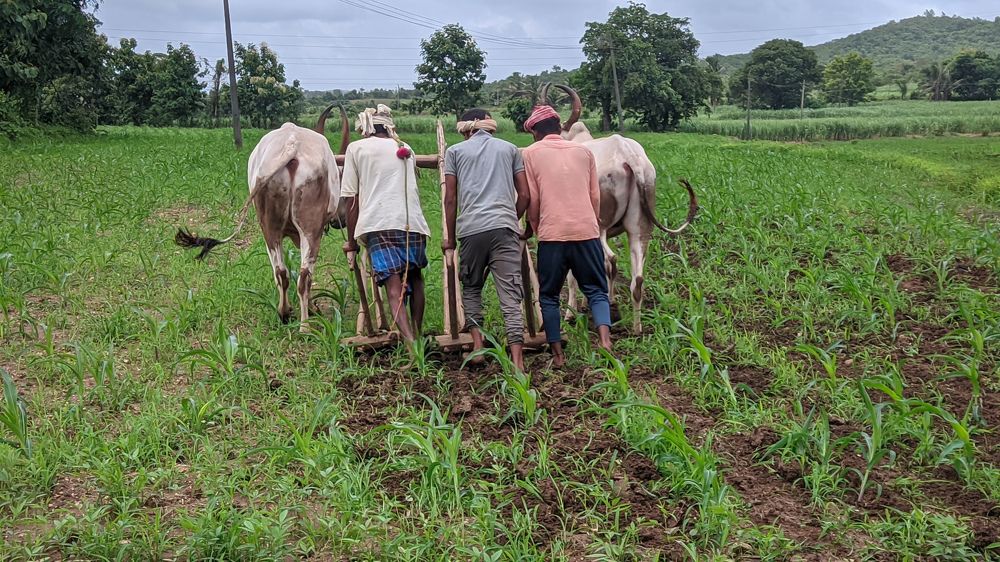 Photograph by Vijayakumar