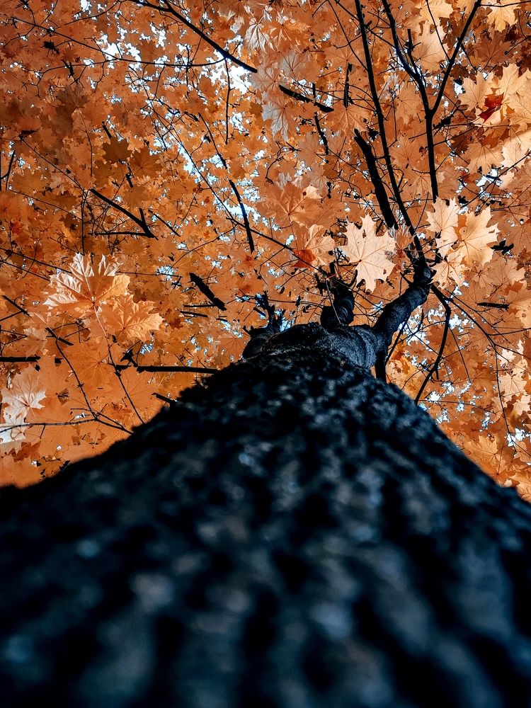 Photograph by Ольга Власова