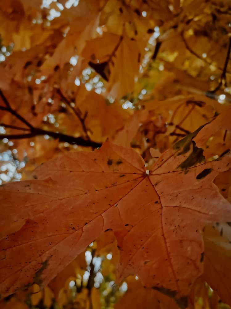 Photograph by Ольга Власова