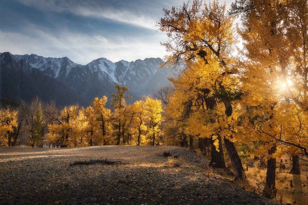 Photograph by Рубан Алена