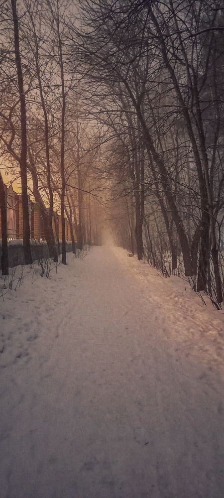 Фотография автора Анастасия Владимирова