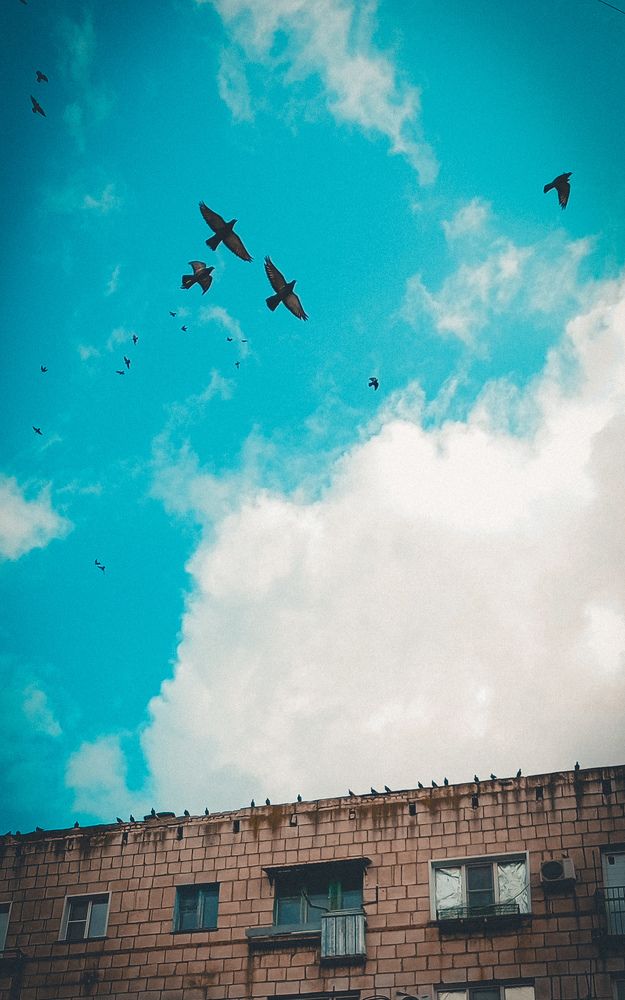 Photograph by Елена (Мори) Кузнецова