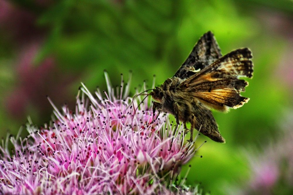 Photograph by Lena Feldman