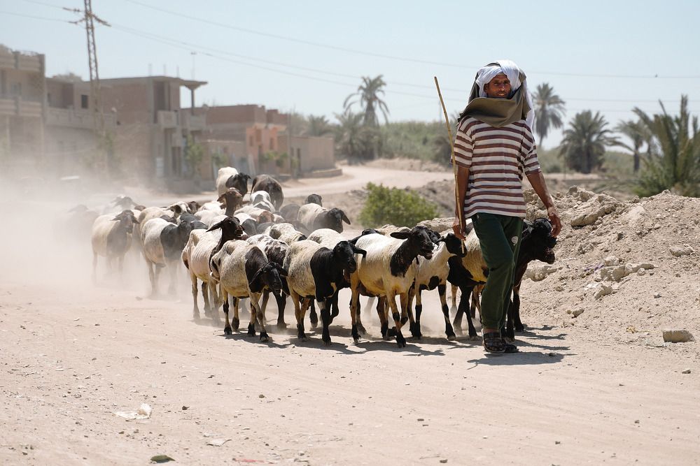 Photograph by Raed Victor Saad